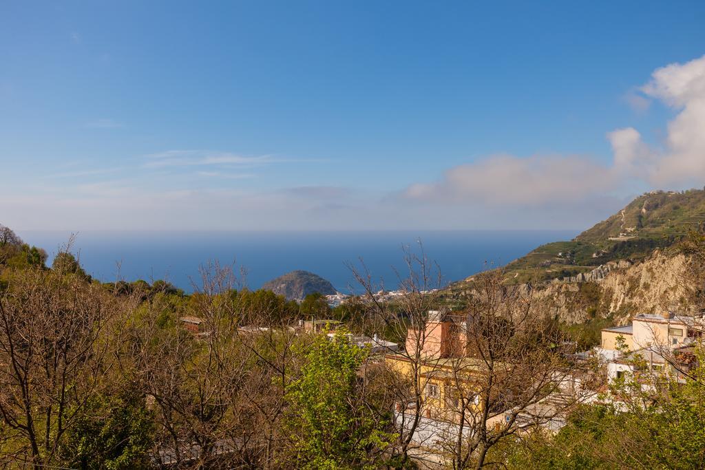 בית הארחה Barano dʼIschia 	Nitrodi Experience מראה חיצוני תמונה